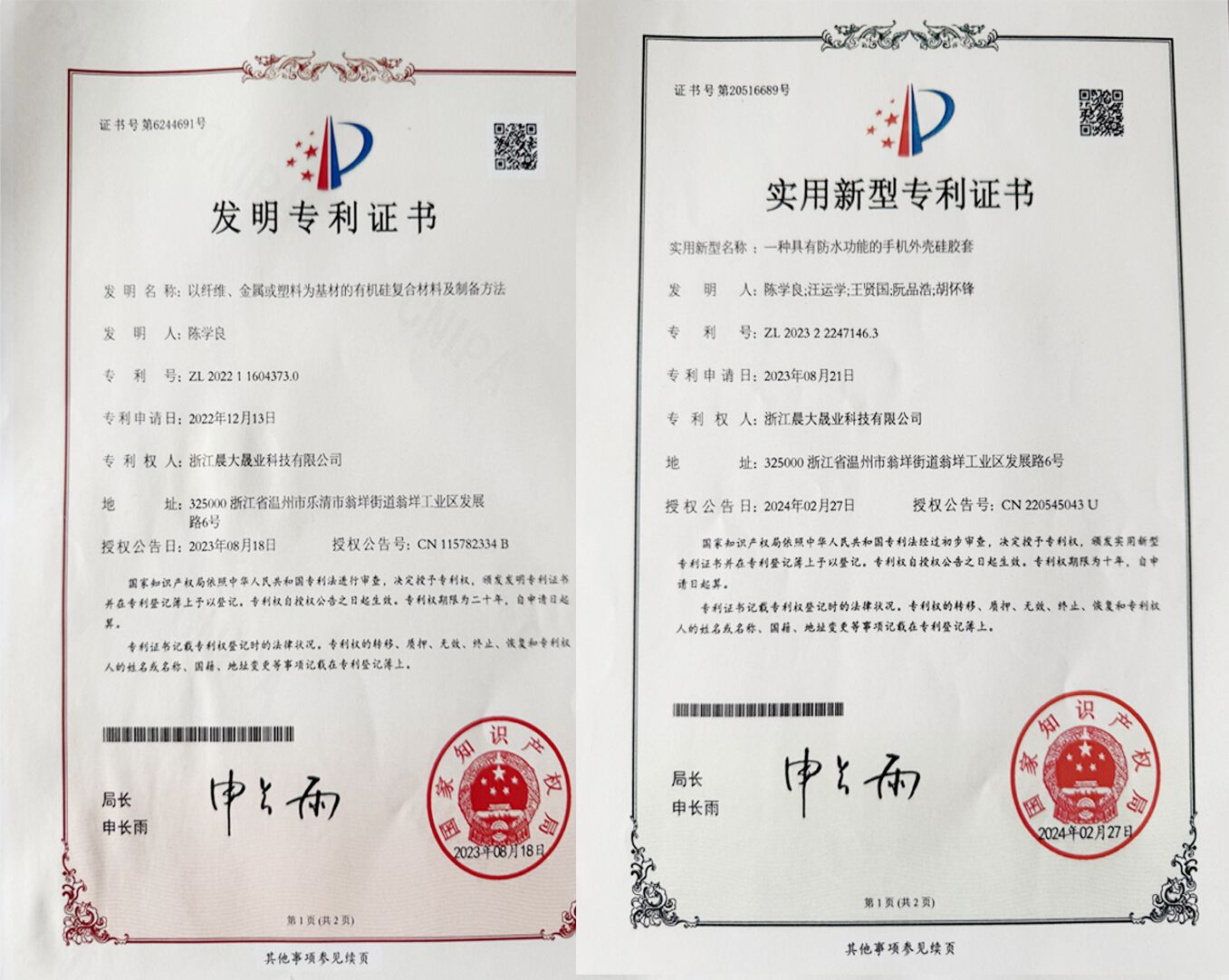 专利与知识产权